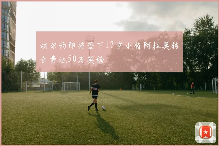 切尔西即将签下17岁小将阿拉奥转会费达50万英镑