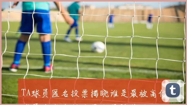TA球员匿名投票揭晓谁是最被高估球员申京夺魁戈贝尔紧随其后
