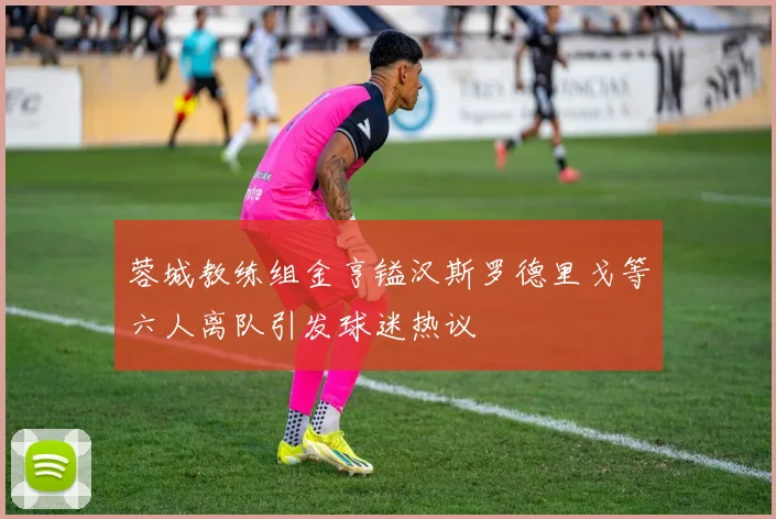 蓉城教练组金亨镒汉斯罗德里戈等六人离队引发球迷热议
