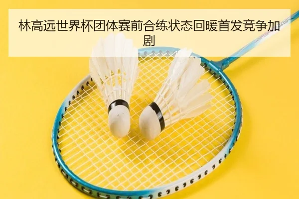 林高远世界杯团体赛前合练状态回暖首发竞争加剧 - B-OneSports